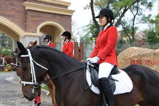 欧美美女骑大马视频,展现骑术风采