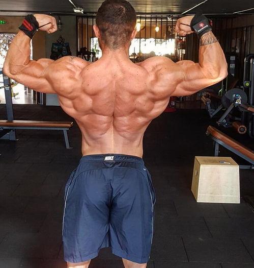 欧美肌肉男动画视频网站,打造健身爱好者的视觉盛宴