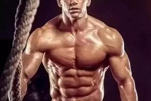 欧美肌肉男动画视频网站,打造健身爱好者的视觉盛宴