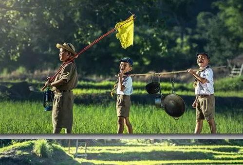 欧美农场晒稻草视频在线,传统农事与现代视角的完美融合