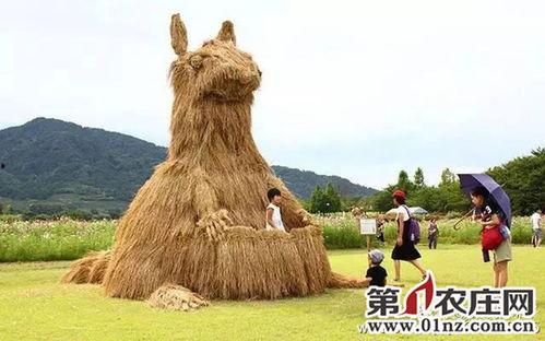 欧美农场晒稻草视频在线,传统农事与现代视角的完美融合