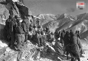 欧美打仗说话视频