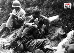 欧美打仗说话视频