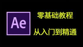 欧美一级视频g,揭秘激情四溢的视觉盛宴