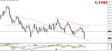 欧美小幅反弹视频,复苏迹象初现