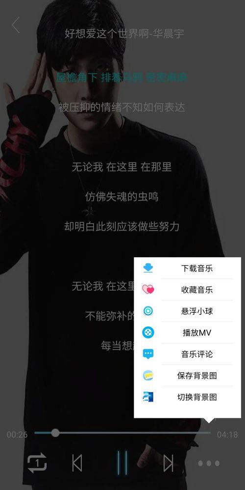 欧美大尺寸歌曲视频,视觉盛宴与音乐潮流的完美融合